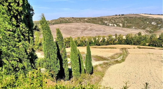 Апартаменты c 1 комнатой Agriturismo Palazzo Conti - B