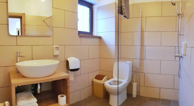 Люкс Casa Lazaroiu