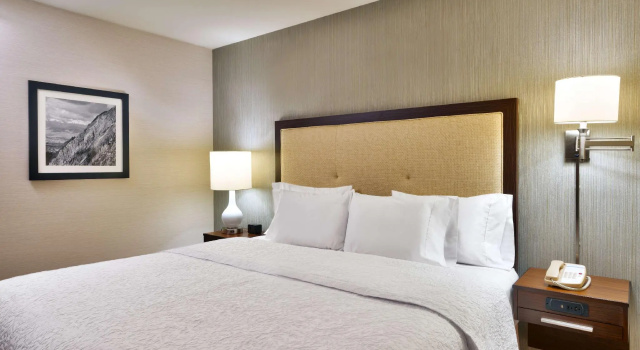 Двухместный номер Deluxe Spark by Hilton Salt Lake City Central