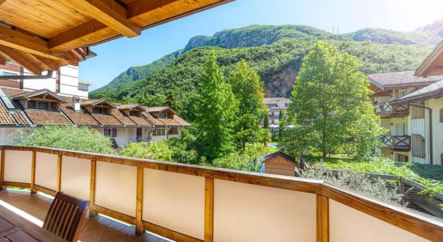 Одноместный люкс с балконом Hotel Ristorante Lewald