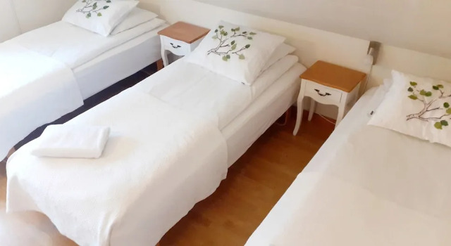 Трёхместный номер Standard Guesthouse Bjarmaland