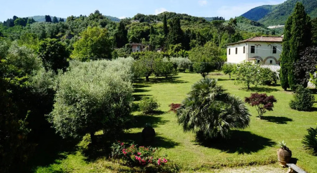 La Vedetta