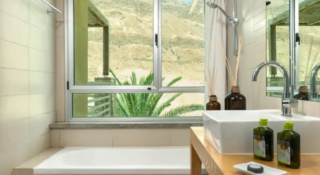 Номер Standard Ein Gedi Kibbutz Hotel