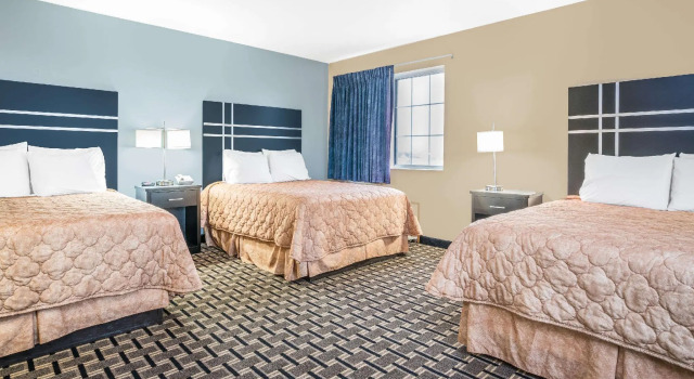 Шестиместный люкс DUTCH INN AND SUITES