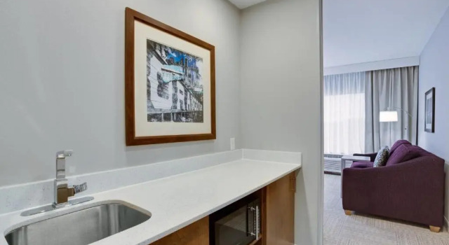 Люкс Hampton Inn and Suites Jacksonville/Orange Park, FL