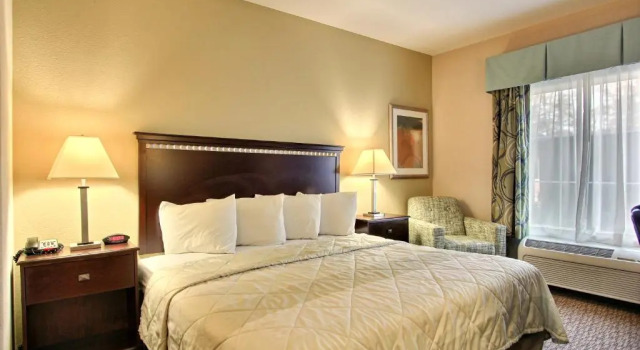 Номер Standard Magnolia Inn and Suites Pooler