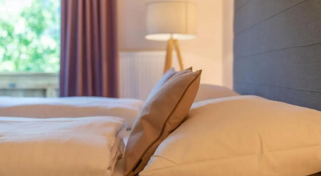 Номер Economy Stadtvilla Schladming Boutiquehotel