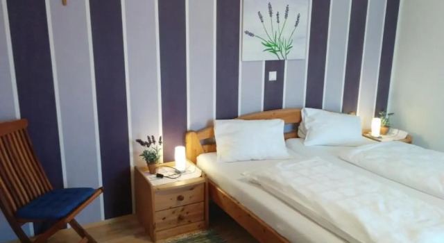 Номер Standard Rebenlandhof