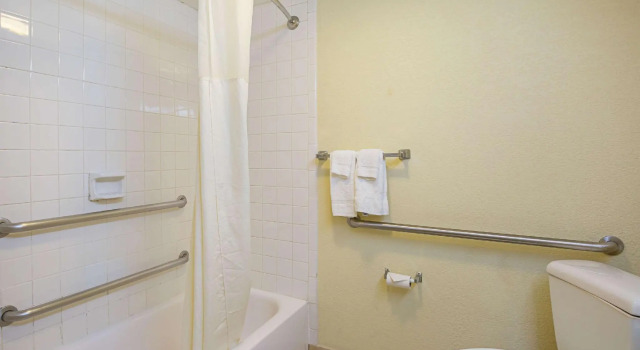 Четырёхместный люкс Quality Inn & Suites NRG Park - Medical Center