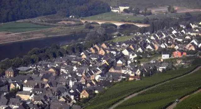 Weinstube Pension Moselblümchen