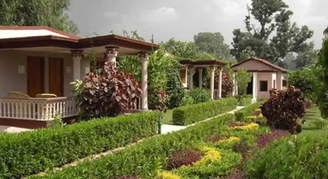 Tiger Den Resort