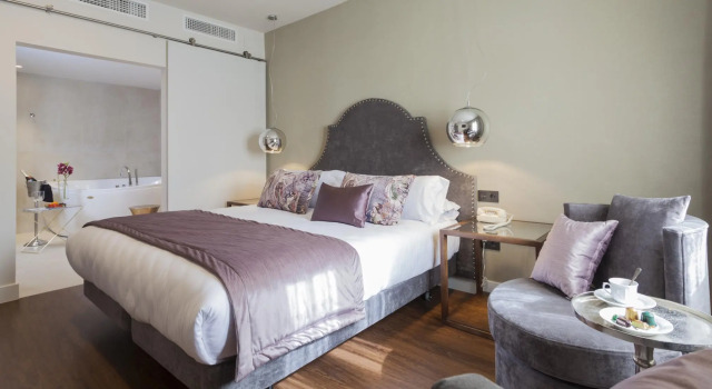 Номер Deluxe Hotel Palacete de Alamos