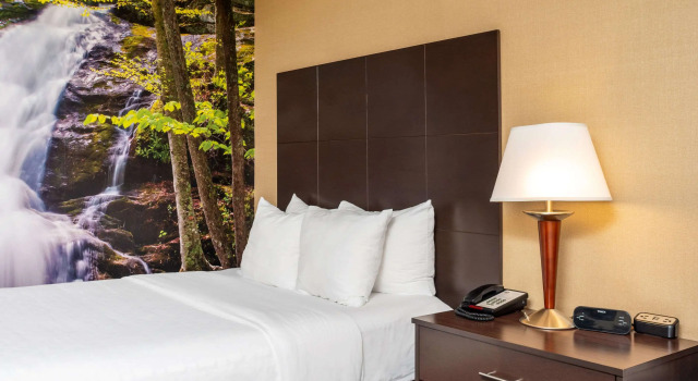 Четырёхместный номер Standard Clarion Pointe Harrisonburg