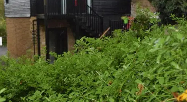 Watercress Barns, Book Hotel Hoteller i Sittingbourne med parkering, Parkering