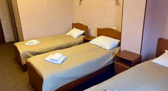 Golden Lion Hotel, Buchen Sie Hotel Boryspil Kyiv Region