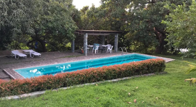 Native House with beautiful pool