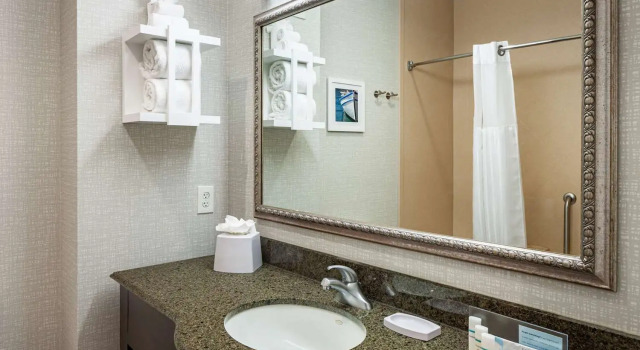 Номер Standard Hampton Inn & Suites Texarkana