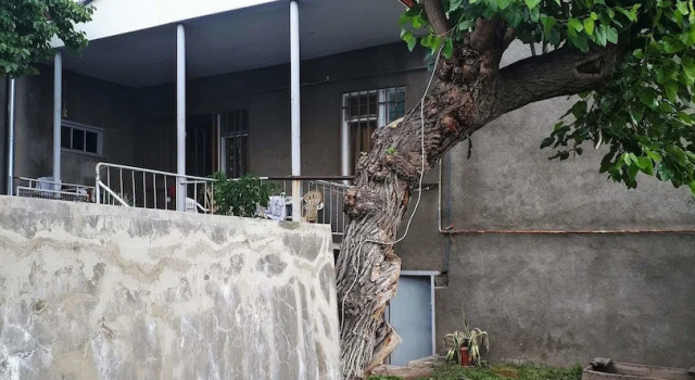 Light Wings Guesthouse, Reservar Hotel Hotéis em Erevan com piscina, Piscina