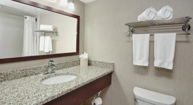 Люкс Holiday Inn & Suites Chicago-Carol Stream Wheaton by IHG