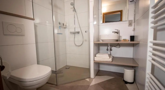 Номер Standard Schmiede Hotel