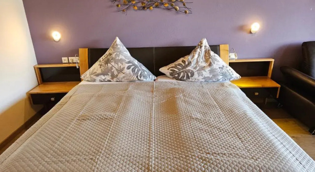 Номер Comfort Hotel Leonhardihof