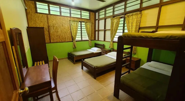 Standardowy czteroosobowy pokój Sepilok B&B