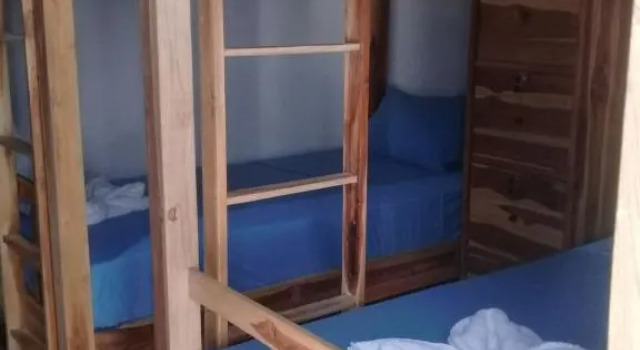 Кровать в общем номере Turtle Island Homestay