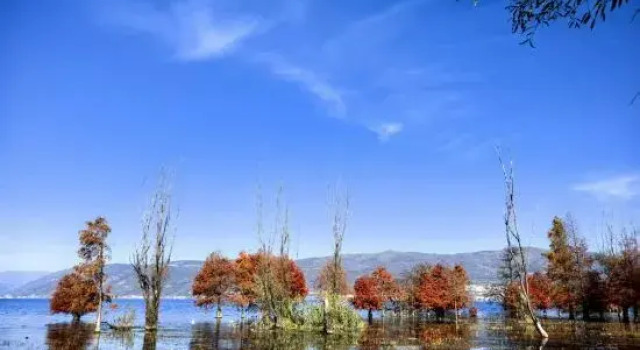 Shi Xi Haven, Boek Hotel Dali Yunnan