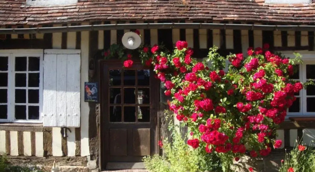 Ferme la Thillaye, Book Hotel Hotels in Normandy with a Pool, Swimming Pool