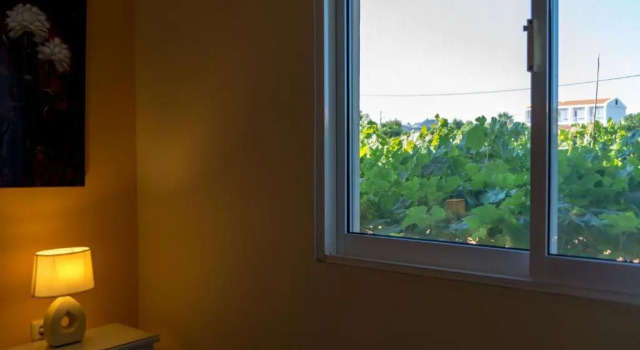 Апартаменты Drosia Apartments