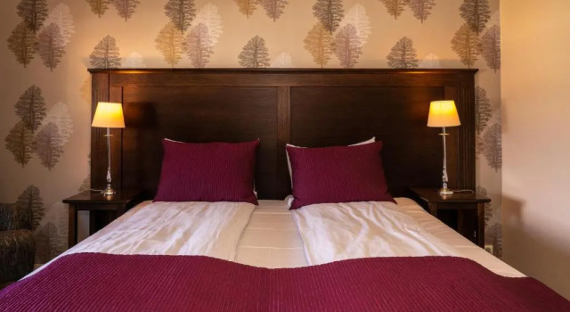 Двухместный номер Standard Home Hotel Park