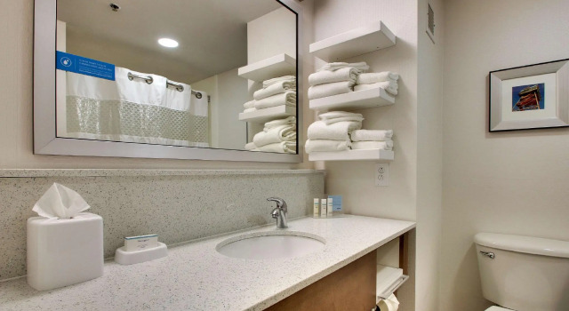 Двухместный номер Standard Hampton Inn Warner Robins