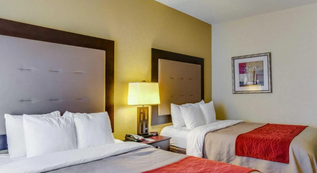 Номер Standard Quality Inn & Suites Slidell