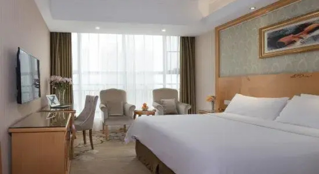 Двухместный люкс Vienna Hotel Yueyang Huarong Avenue