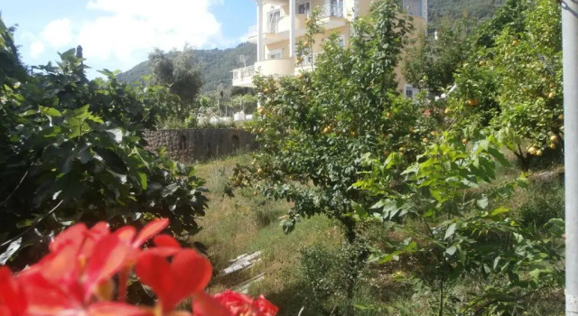 Апартаменты Linda House Corfu