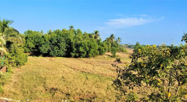 Holiday Destiny Home Stay, Rezervovat Hotel Hotely v South Goa s parkováním, Parkování