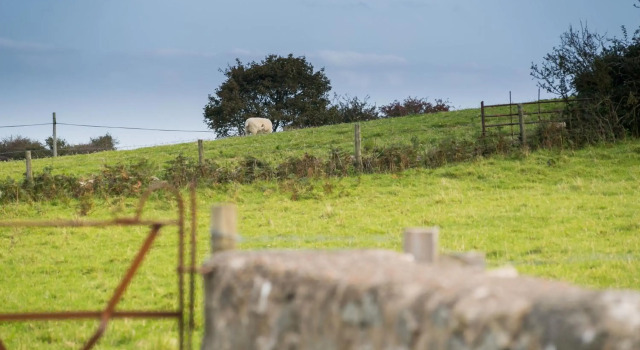 Tyn Lon, Book Hotel Moelfre Anglesey