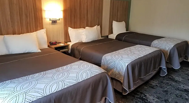 Одноместный семейный номер Standard AArtpark Hotel Inn at Lewsiton
