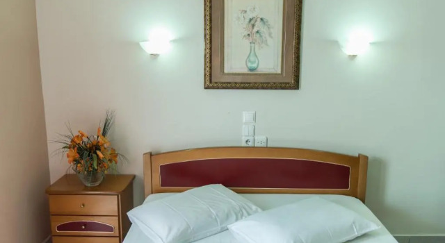 Двухместный номер Standard Hotel Alexandros