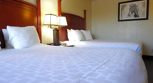 Четырёхместный люкс Comancheria Hotel & Convention Center