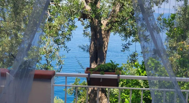 Полулюкс La Palombara B&B