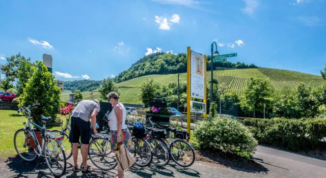 Номер Standard Gästehaus und Weingut Bernd Frieden