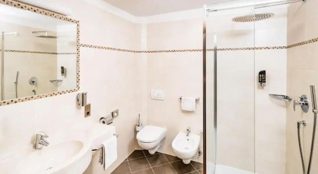 Одноместный номер Standard Hotel Schneeberg FAMILY SPA RESORT