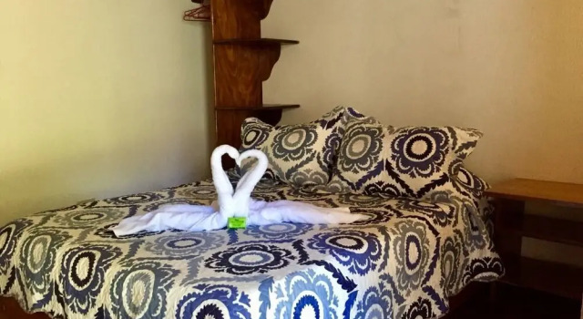 Двухместный номер Comfort Green Papaya B&B