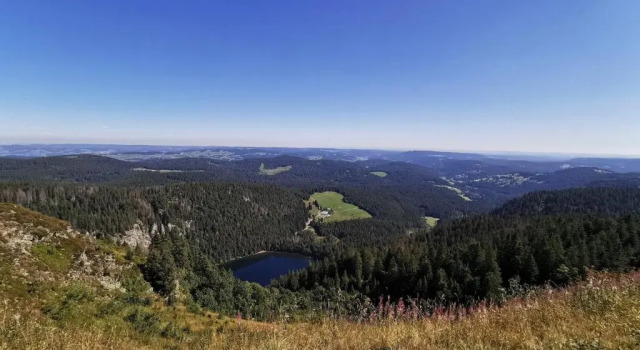 Апартаменты Fewo Talblick - 2 Schlafzimmer - Todtnau, Feldberg