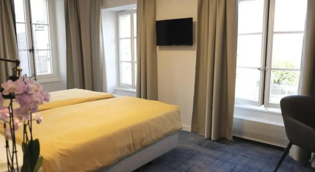 Двухместный номер Standard с видом на озеро Boutique Hôtel de lEcu Vaudois