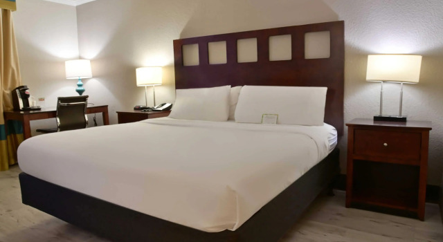 Wyndham Garden Summerville