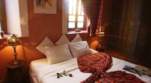 Riad Arocha