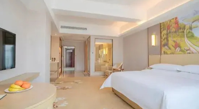 Семейный люкс Vienna Hotel (Shaodong Chuangye New Village Zhaoyang Avenue Branch)