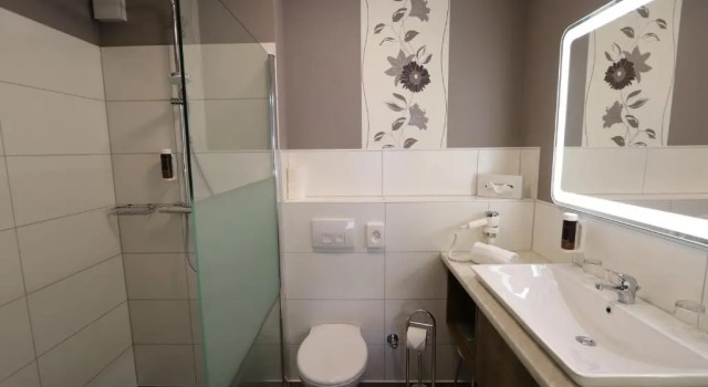 Апартаменты Business c 1 комнатой Hotel Deutscher Hof
